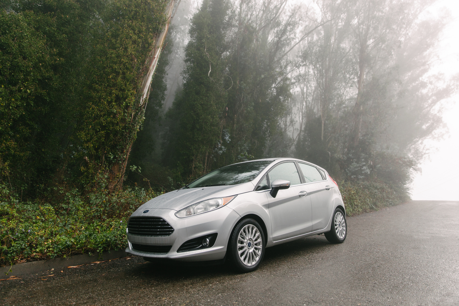 Ford DSLR-1 copy.jpg