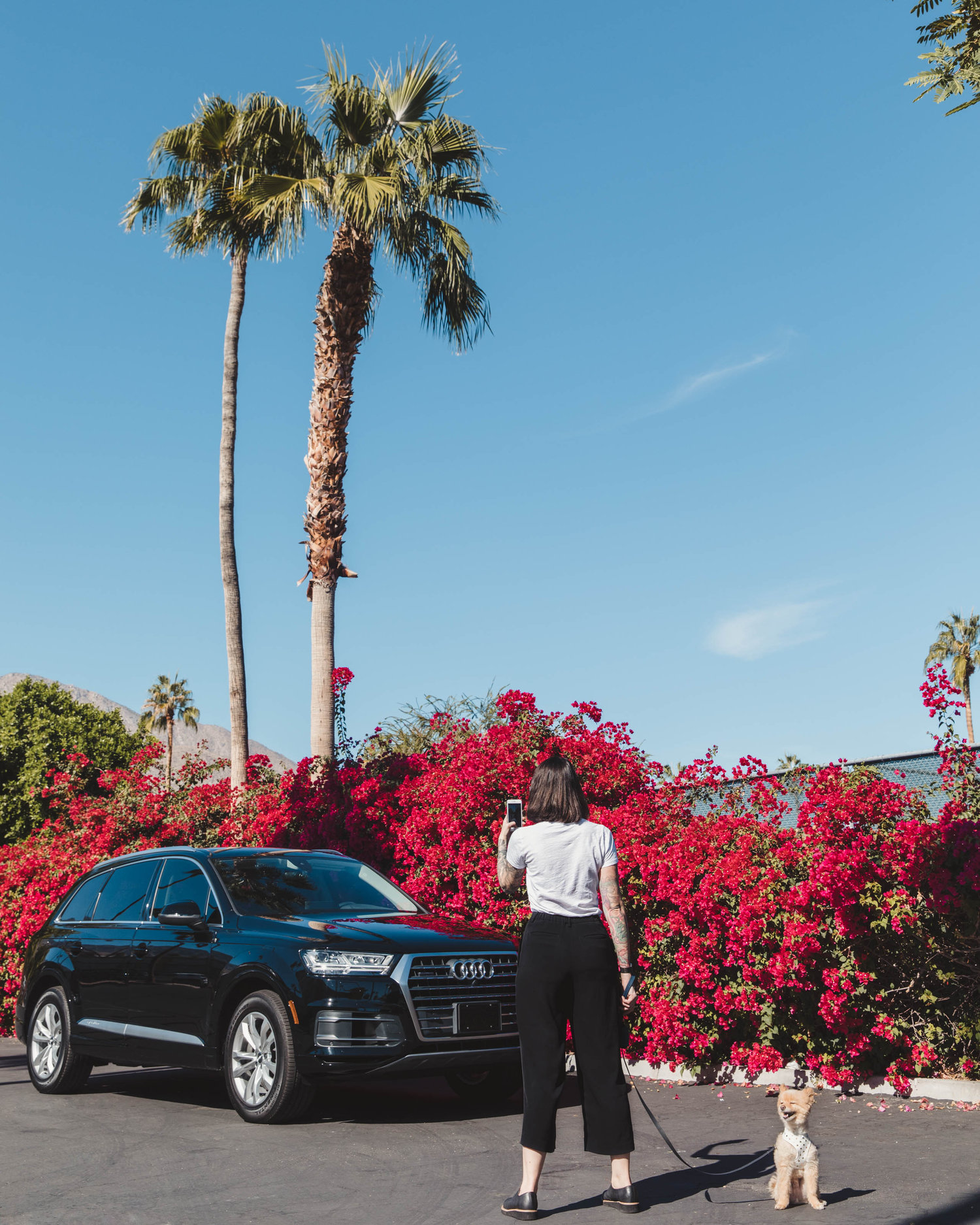 PMK BNC_Audi Holiday 2017_JZ-9.jpg