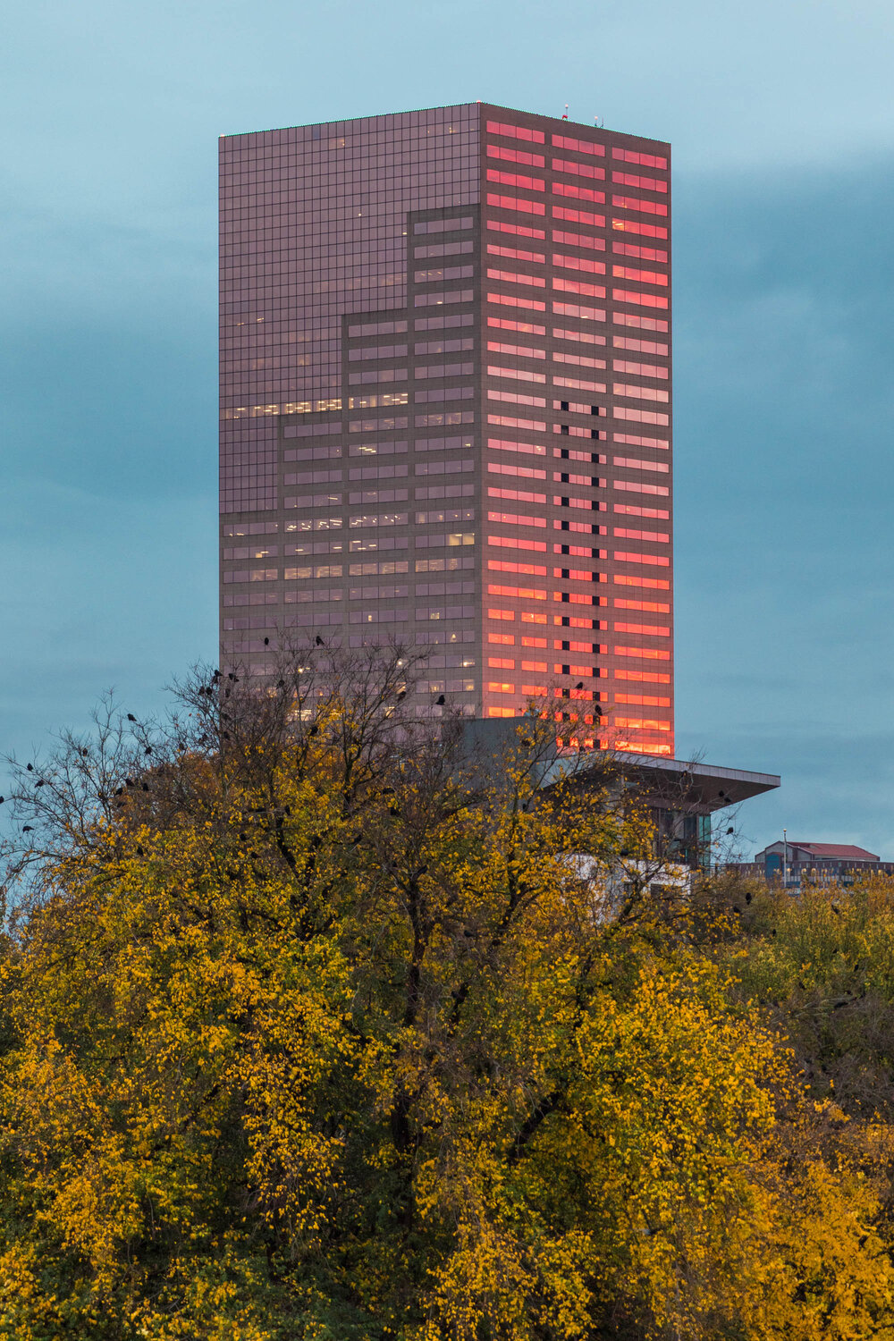 Big Pink Project-1960.jpg