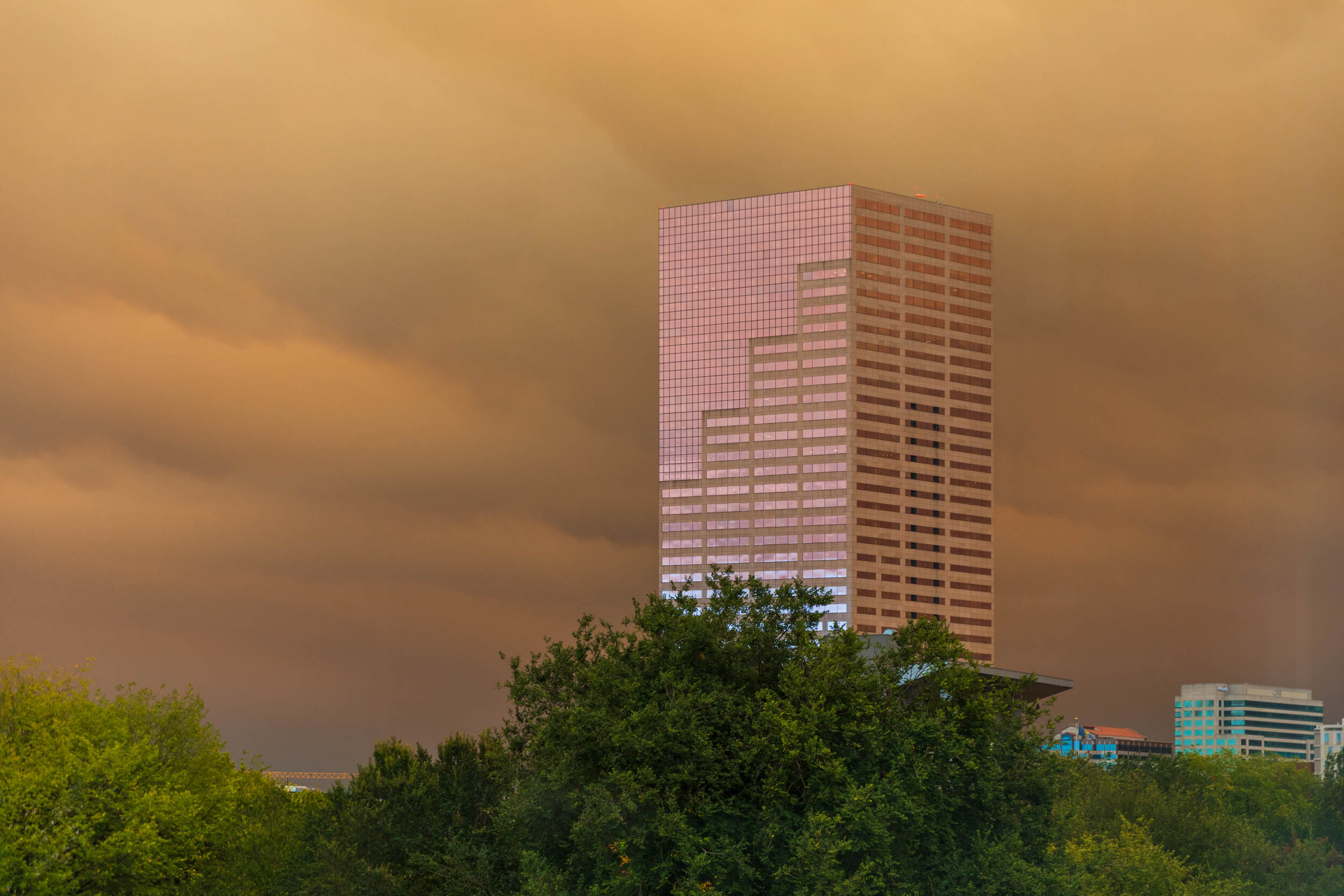 Big Pink Project-9867.jpg