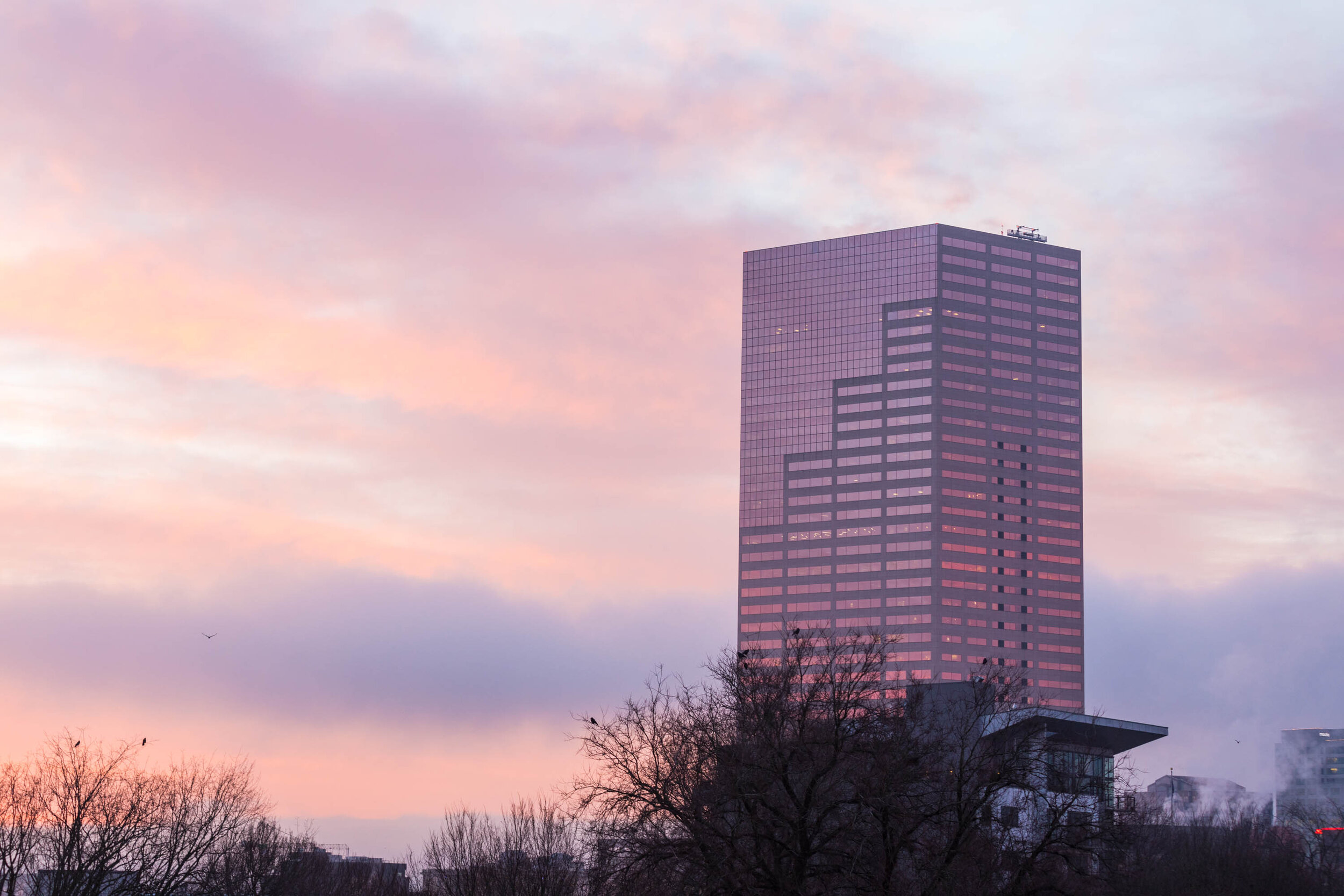 Big Pink-3070.jpg
