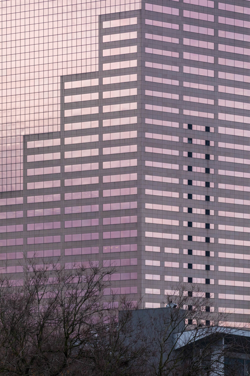 Big Pink-2515.jpg